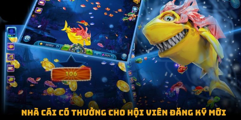 Nhà cái có thưởng cho hội viên đăng ký mới