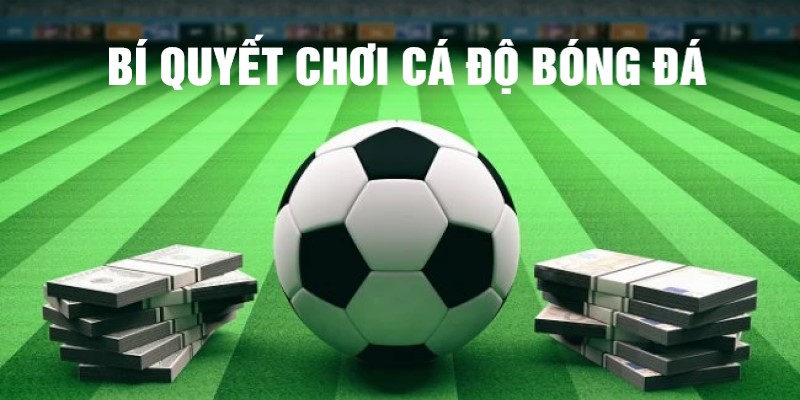 Bí quyết chơi cá độ đá banh tại 77BET