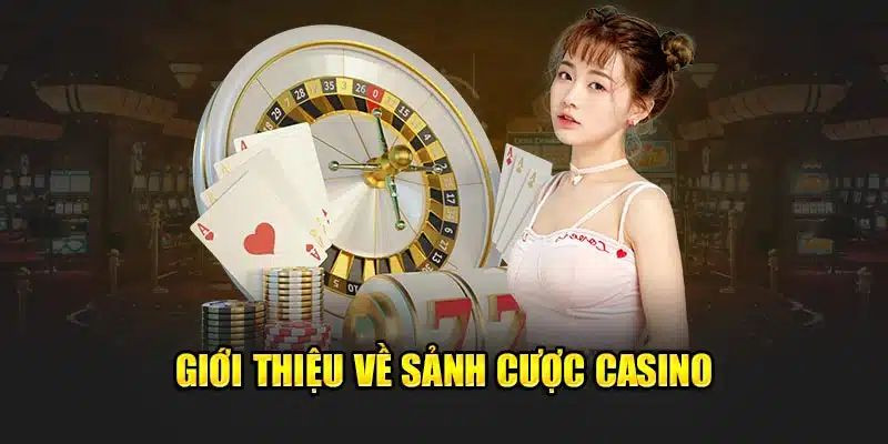 Sảnh cược tái hiện lại một sòng bài trên nền tảng trực tuyến