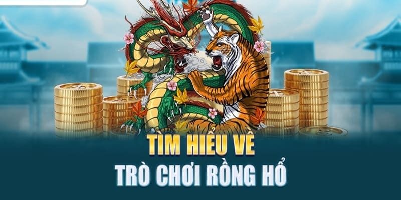 rồng hổ là gì